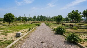  Plot For Sale in Gaur City 1