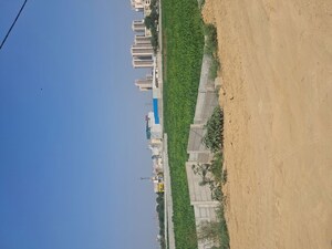  Plot For Sale in Sohna