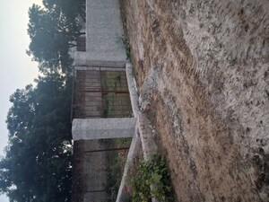  Plot For Sale in Sohna