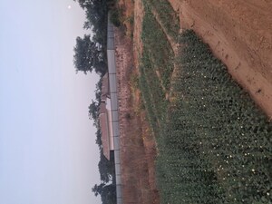  Plot – Exterior View View at Sohna - for Sale
