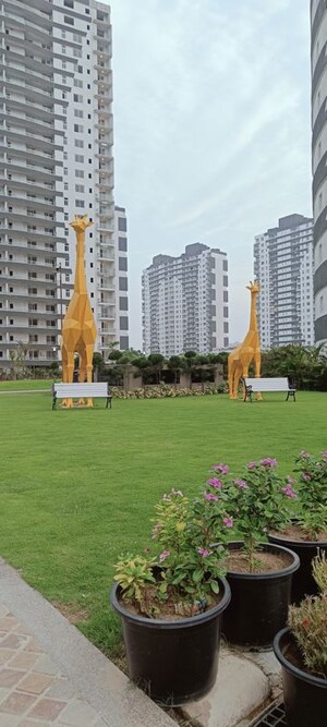 4 BHK Apartment – Exterior View View at Omaxe New Chandigarh, North Mullanpur - for Rent