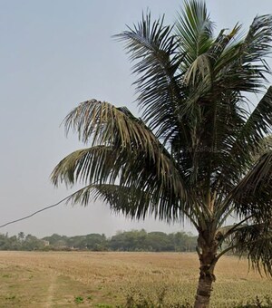  Plot For Sale in Bhingarpur