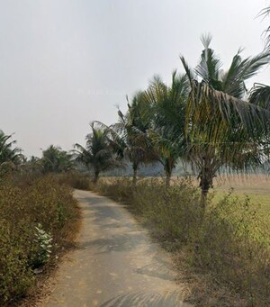  Plot – Exterior View View at Bhingarpur - for Sale