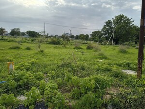  Plot For Sale in Shree Nilayam Muthangi, Muthangi