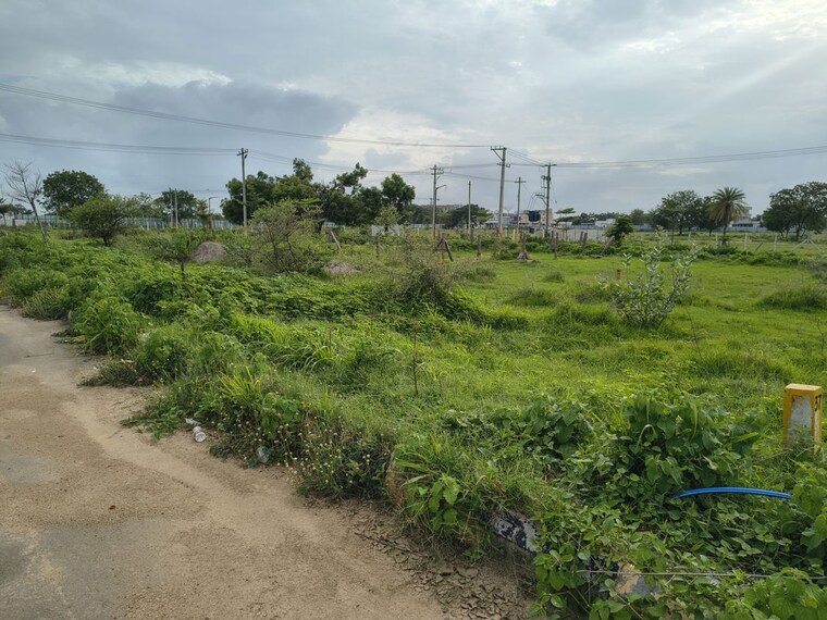 undefined, shree-nilayam-muthangi  150 Sq.Yd. Plot In Muthangi Hyderabad 10601494