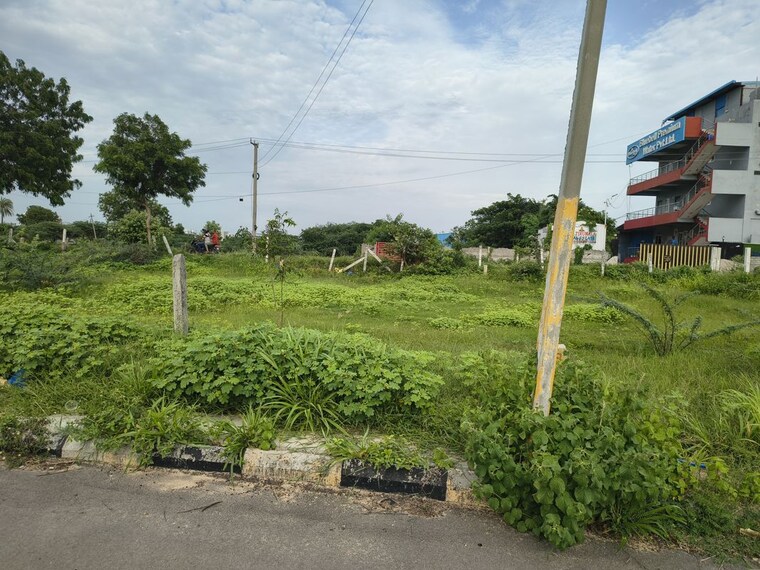Garden, shree-nilayam-muthangi  150 Sq.Yd. Plot In Muthangi Hyderabad 10601494