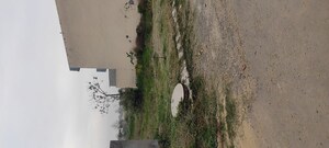 Plot Area in  Plot at Altus Muirwood Ecocity, North Kharar – for Sale
