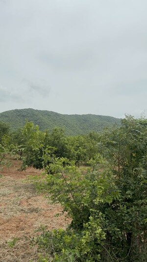 Plot Area in  Plot at Surampalli – for Sale
