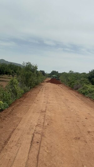 Plot Area in  Plot at Surampalli – for Sale