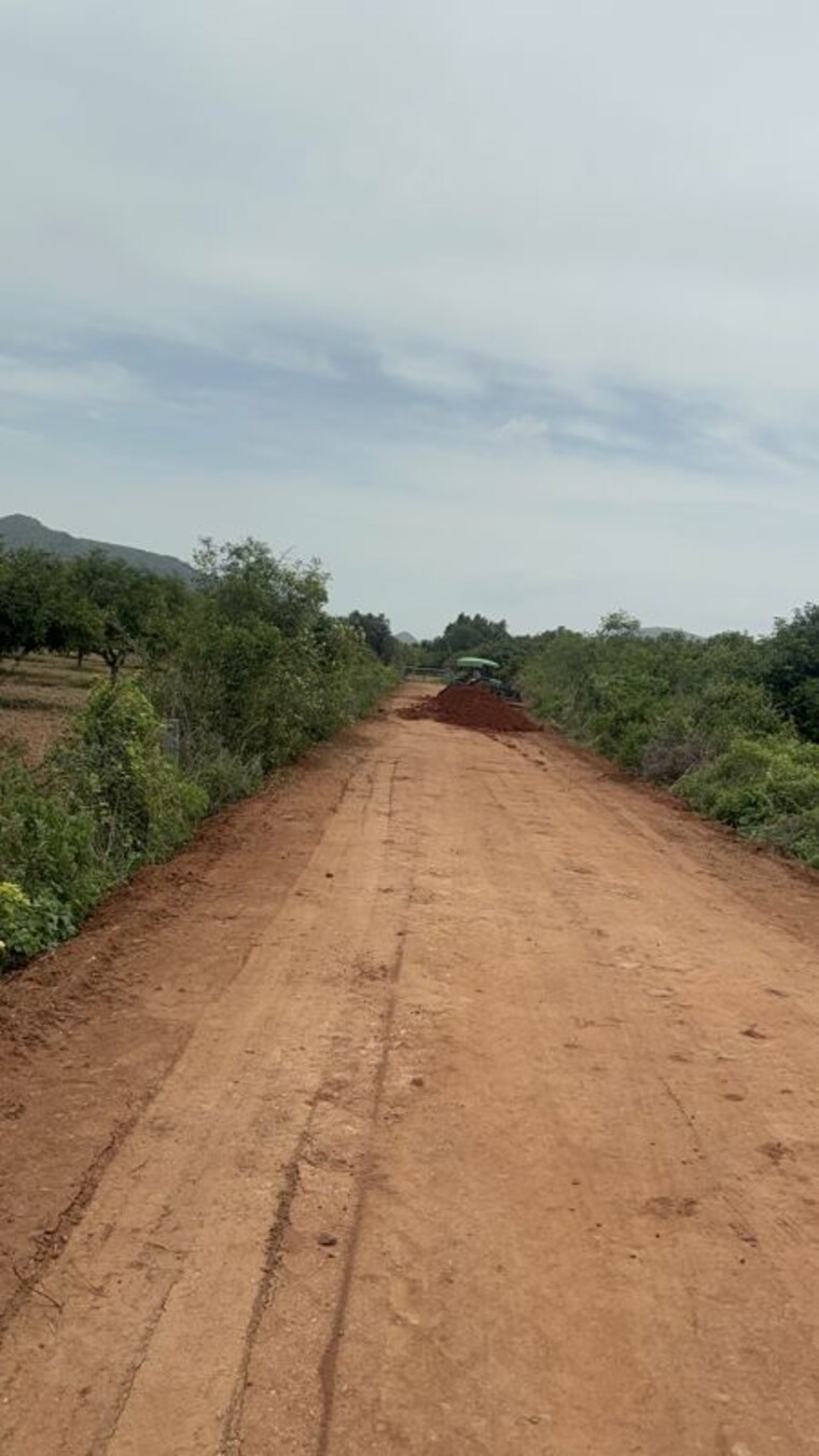 undefined, surampalli  183 Sq.Yd. Plot In Surampalli Vijayawada 10601703