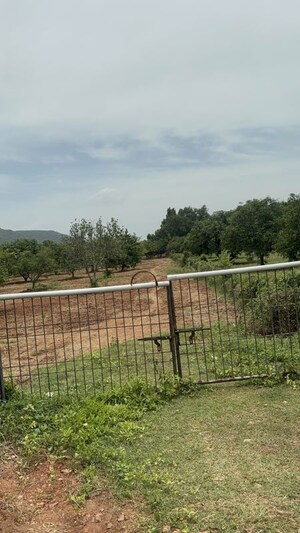 Plot Area in  Plot at Surampalli – for Sale