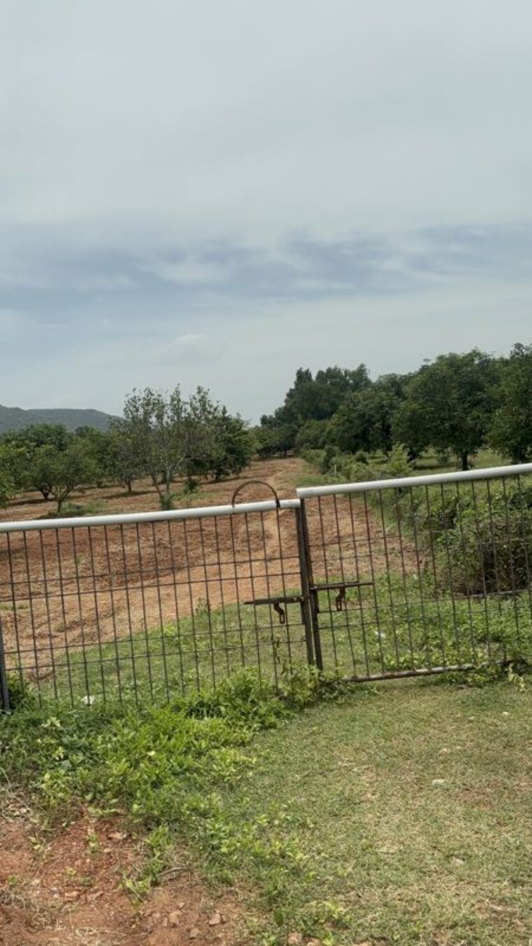 undefined, surampalli  183 Sq.Yd. Plot In Surampalli Vijayawada 10601703