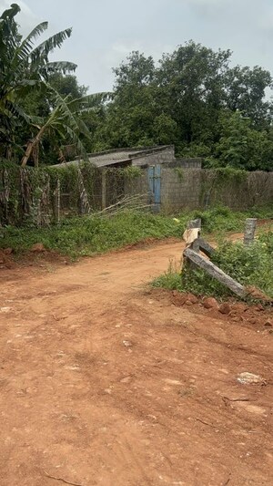  Plot For Sale in Surampalli