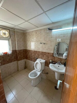 Bathroom in 2 BHK Apartment at Amrapali Terrace Homes, Tech Zone 4 Greater Noida – for Sale