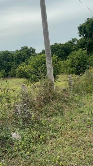 Plot Area in  Plot at Surampalli – for Sale