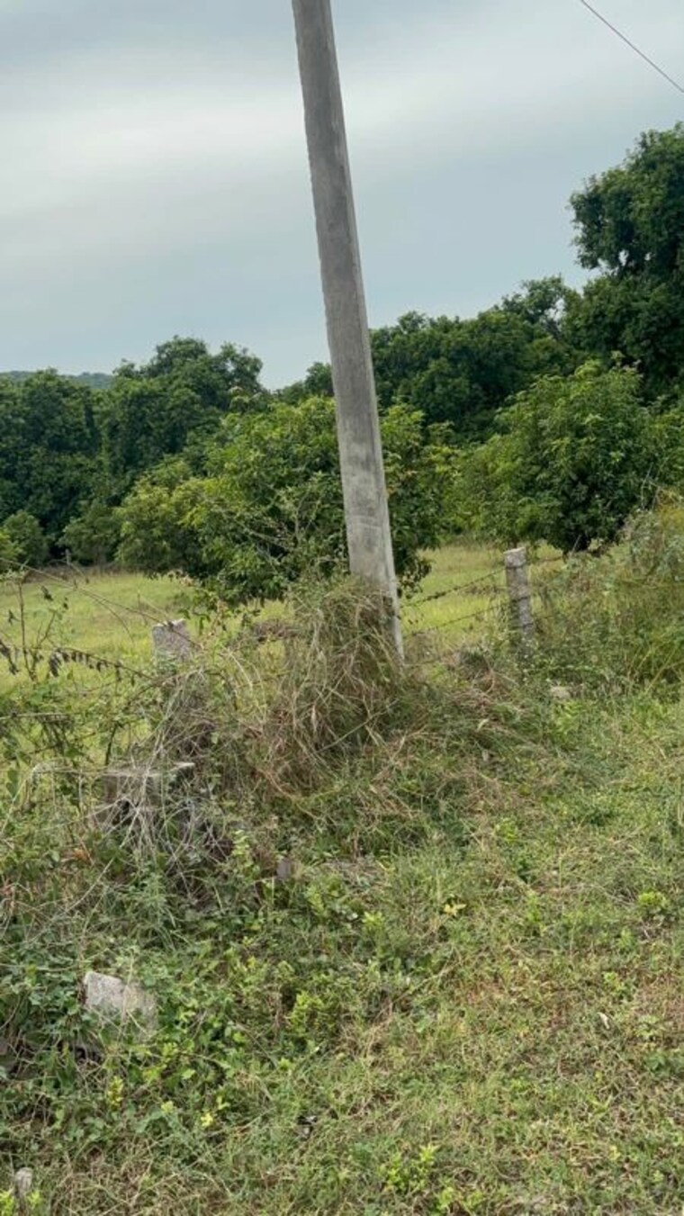 undefined, surampalli  150 Sq.Yd. Plot In Surampalli Vijayawada 10601774