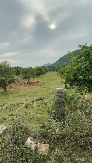 Plot Area in  Plot at Surampalli – for Sale