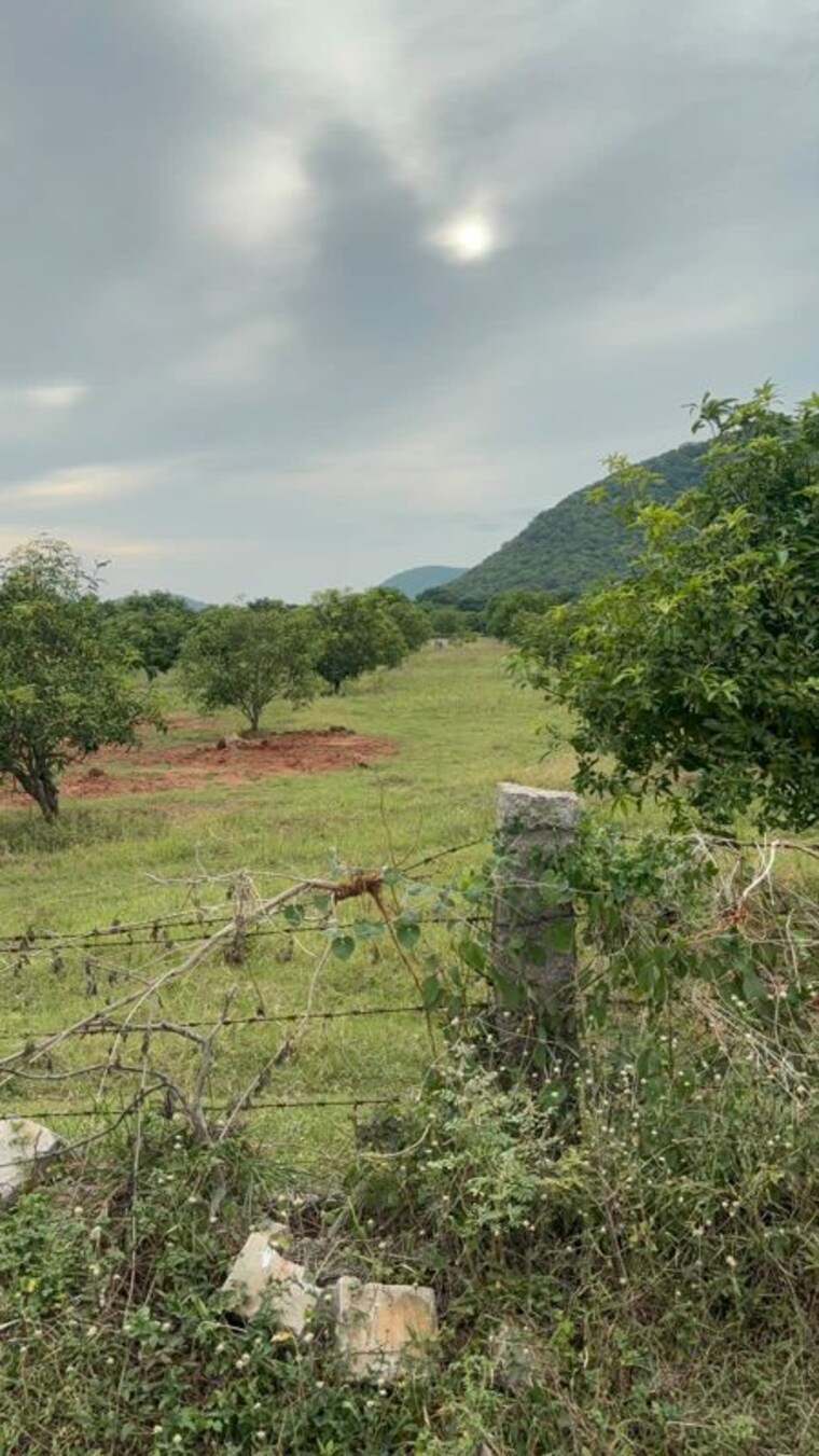 undefined, surampalli  150 Sq.Yd. Plot In Surampalli Vijayawada 10601774