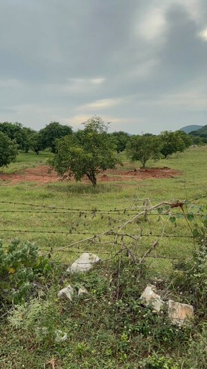 Plot Area in  Plot at Surampalli – for Sale