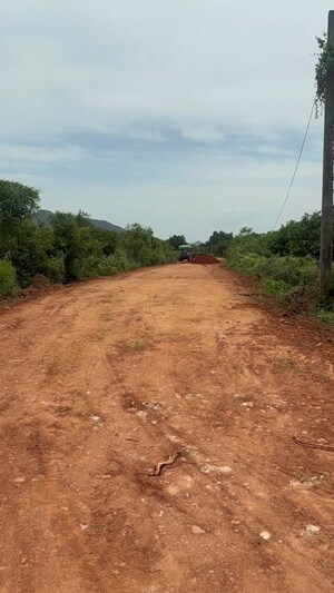Plot Area in  Plot at Surampalli – for Sale