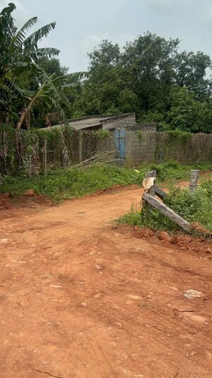 Plot Area in  Plot at Surampalli – for Sale
