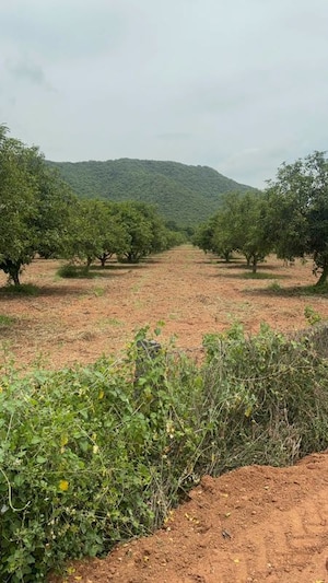 Plot Area in  Plot at Surampalli – for Sale