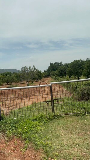 Plot Area in  Plot at Surampalli – for Sale