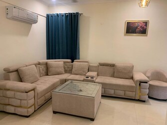 3 BHK 1350 Sq.Ft. Apartment in Affinity Greens