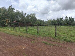 Plot Area in  Plot at Majorda – for Sale