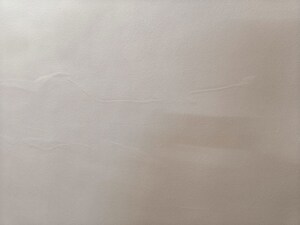 Room in 2 BHK Apartment at Om Shiv Srushti, Pashan – for Sale