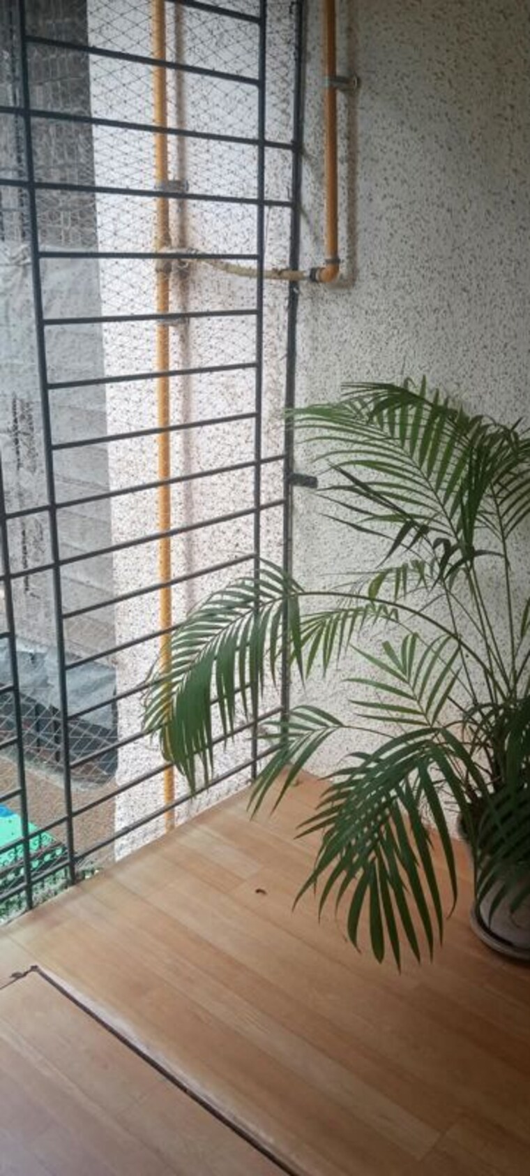 Balcony, sethia-green-view 2 Bedroom 650 Sq.Ft. Apartment In Goregaon West Mumbai 10601914