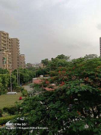3 BHK 1376 Sq.Ft. Apartment in Ansal Sushant Estate