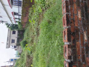  Plot – Exterior View View at Mohkampur - for Sale