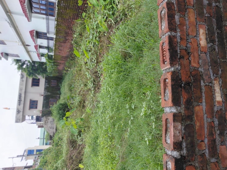 Exterior View, mohkampur  386 Sq.Yd. Plot In Mohkampur Dehradun 10602077