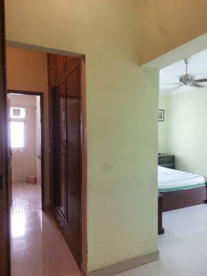 Room in 3 BHK Apartment at DLF Hamilton Court, Sector 27 – for Rent