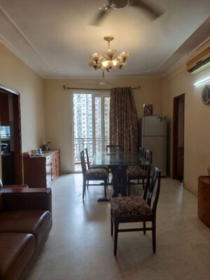 Living Room in 3 BHK Apartment at DLF Hamilton Court, Sector 27 – for Rent