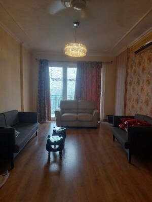 Living Room in 3 BHK Apartment at DLF Hamilton Court, Sector 27 – for Rent