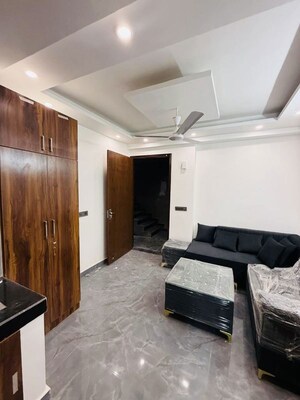 1 BHK Apartment For Rent in Saket