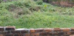 Plot For Sale in Mohkampur