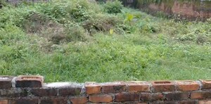 Plot For Sale in Mohkampur