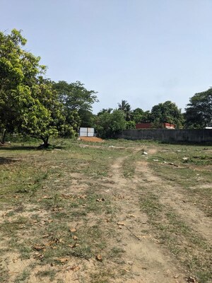  Land For Rent in Pammadukulam