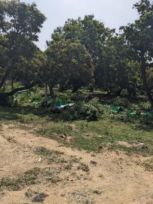 Plot Area in  Land at Pammadukulam – for Rent