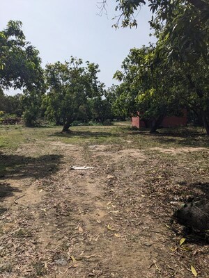 Plot Area in  Land at Pammadukulam – for Rent