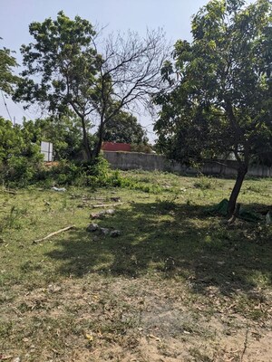 Plot Area in  Land at Pammadukulam – for Rent
