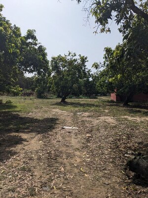 Plot Area in  Land at Pammadukulam – for Rent
