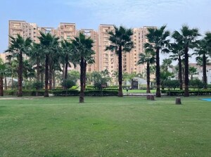3 BHK Apartment – Garden View at Motiaz Royal Citi, Ambala Highway - for Rent