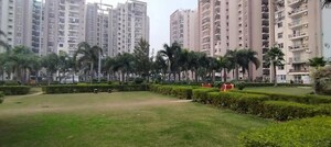3 BHK Apartment For Rent in Motiaz Royal Citi, Ambala Highway