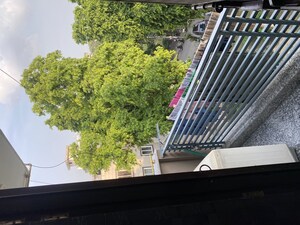 Balcony in 2 BHK Builder Floor at Lajpat Nagar I – for Sale