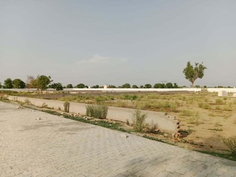 undefined, agra gpo  250 Sq.Yd. Plot In Agra Gpo Agra 10593573