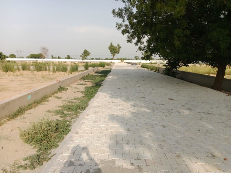 undefined, agra gpo  250 Sq.Yd. Plot In Agra Gpo Agra 10593573